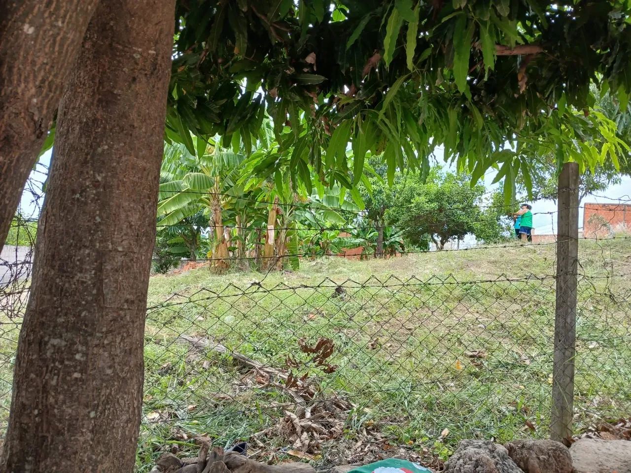 Terreno de Esquina - Foto 3