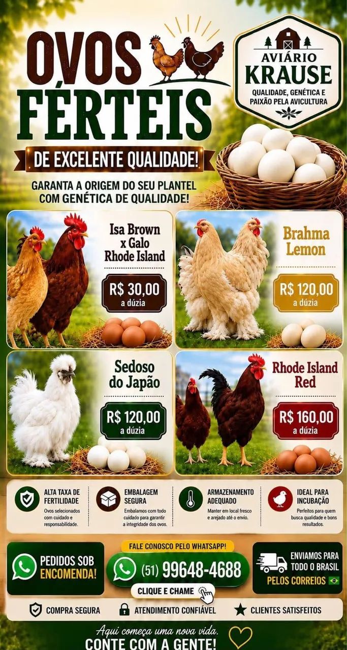 Ovos Galados 