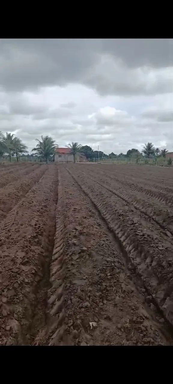 Vendesse terreno - Foto 5