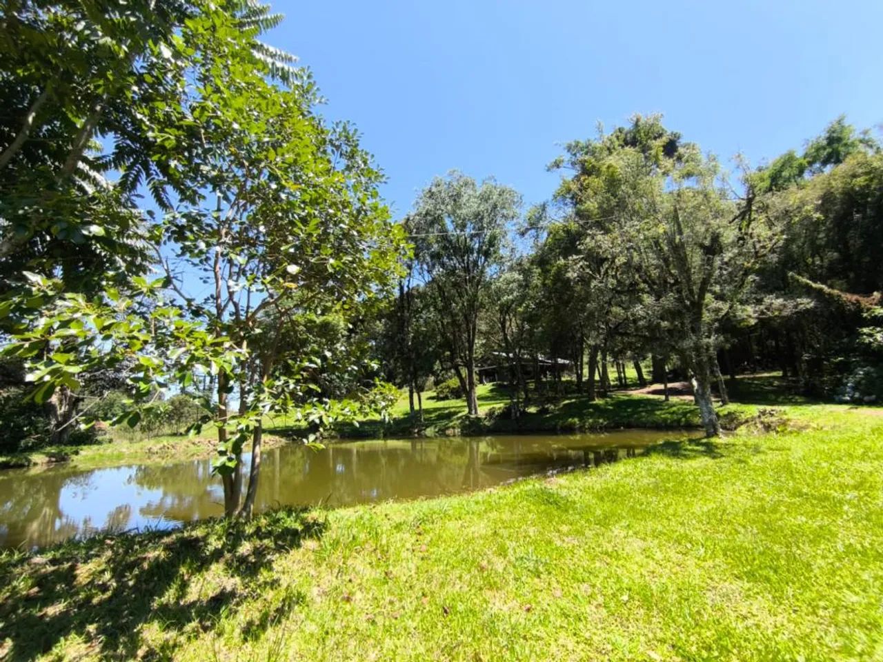 Sitio - Bairro Linha Ávila