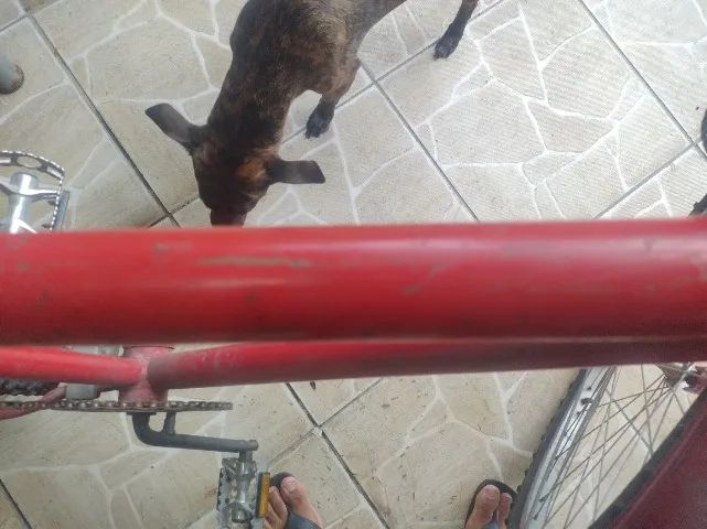 Bicicleta - Foto 5