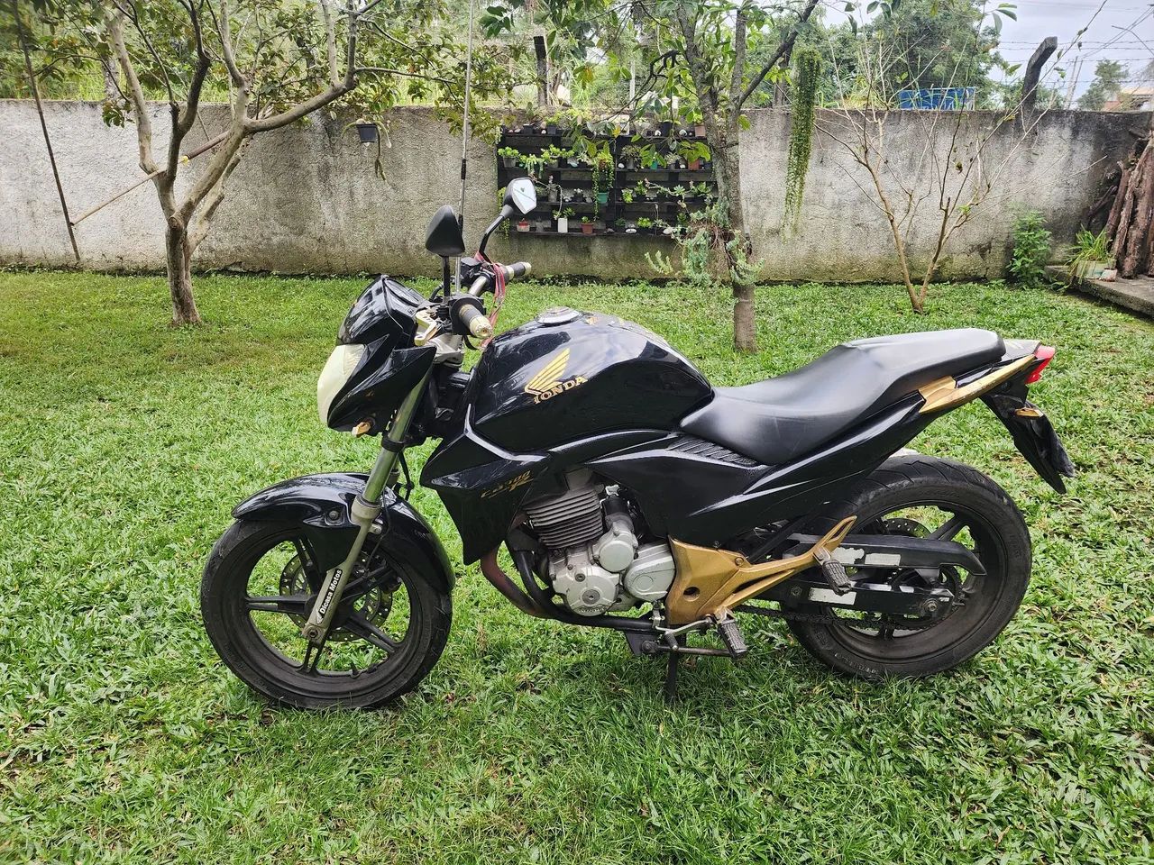 HONDA CB300R Flex2015 - Foto 2