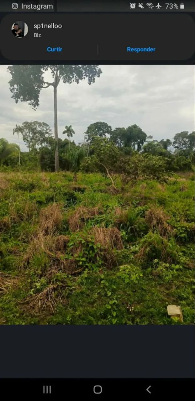 Seringal, Fazenda, Posse, Concessão, Propriedade - Foto 2
