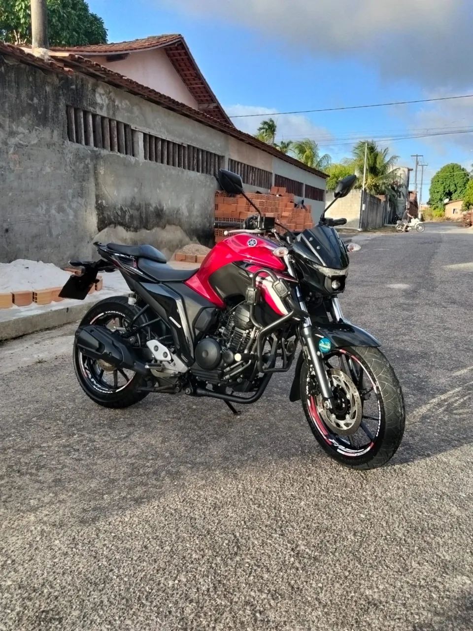 FZ 250