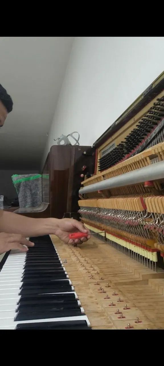 Afinador de piano no DF e Centro-Oeste  - Foto 2