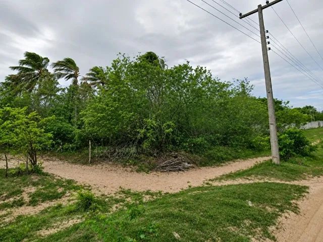 [AF] - TERRENO PLANO e RETANGULAR com 20.000m² em São José de Mipibu!! - Foto 3