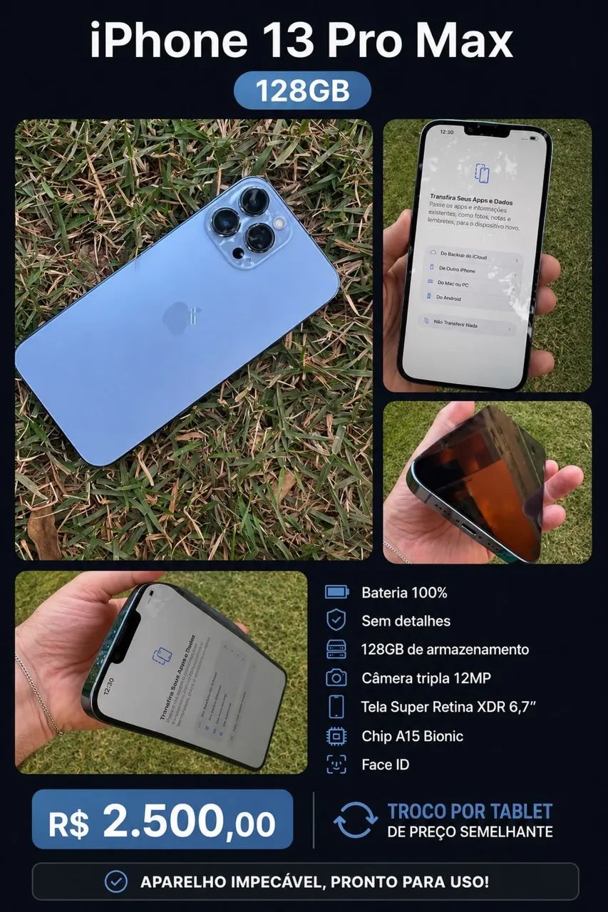 Iphone 13 pro max 