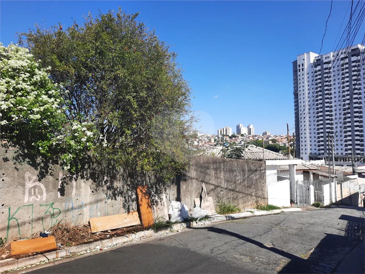 Terreno à venda em Vila palmeiras - SP