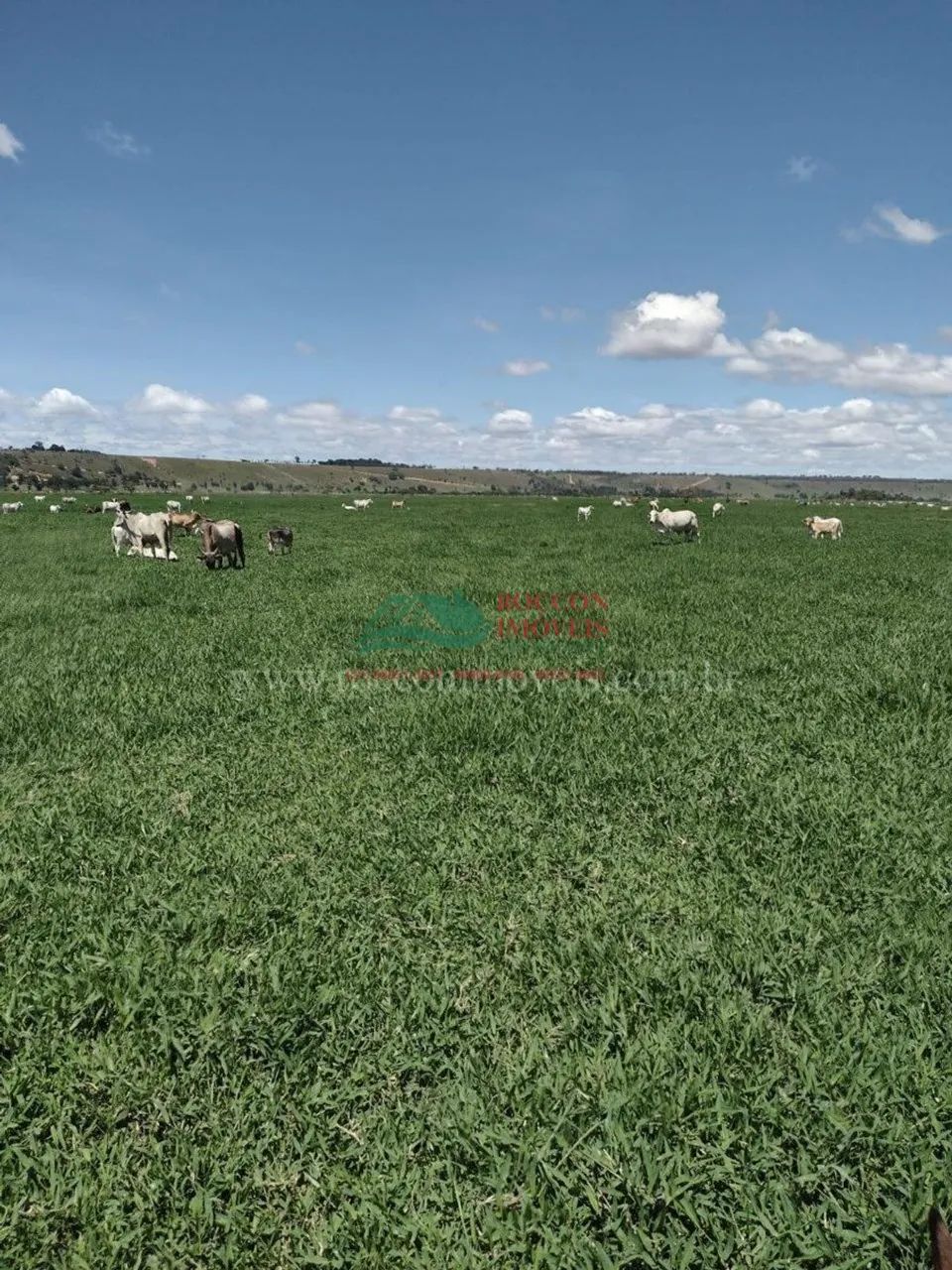 FAZENDA EM ITAMARAJU/BA ESCRITURADO E REGISTRADO - Foto 2