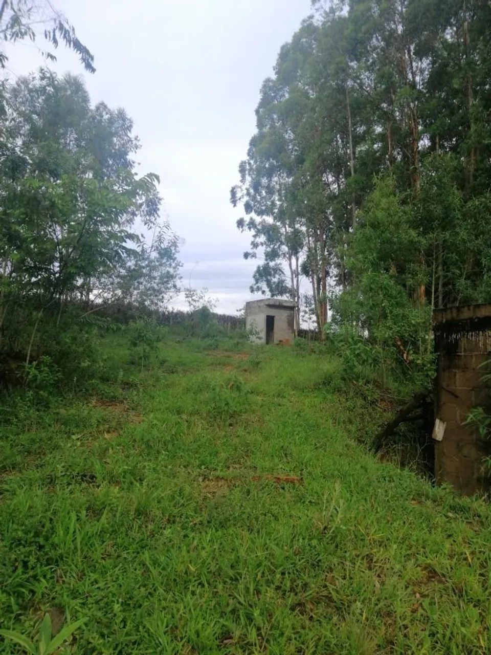 TERRENO CAMARGOS COM GARAGEM E GALPAO - Foto 5