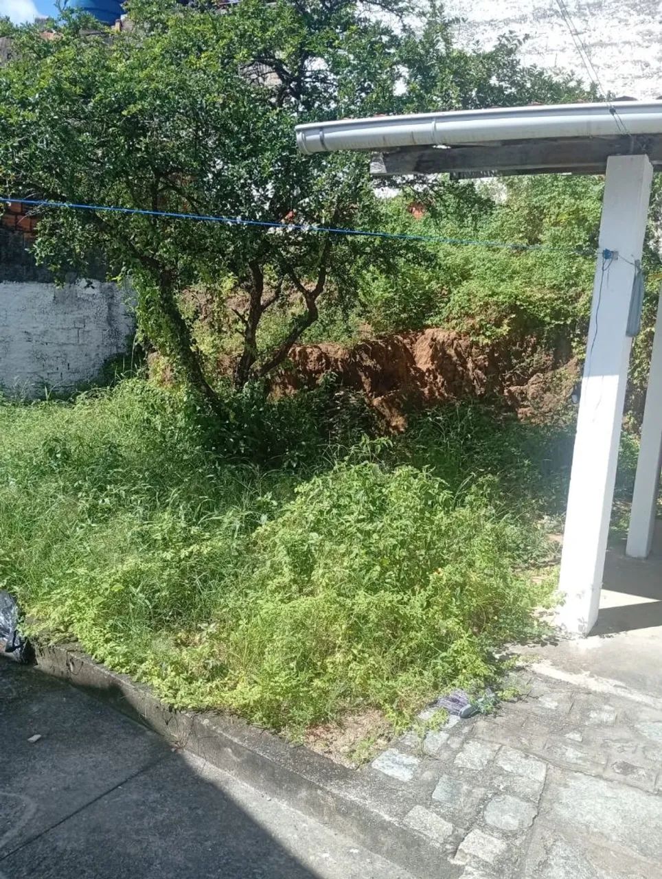 Limpeza na roçadeira  - Foto 5