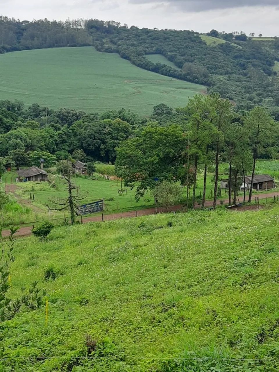 Foto - Londrina - Gleba Fazenda Palhano