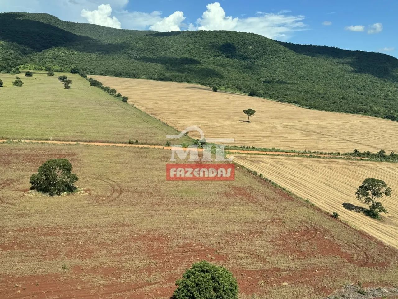 Fazenda em Barro Alto-GO. (350 Alqueires). Soja e Gado - Foto 3