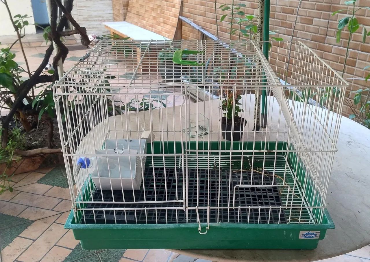 Gaiola grande para coelho e roedores comedouro verde