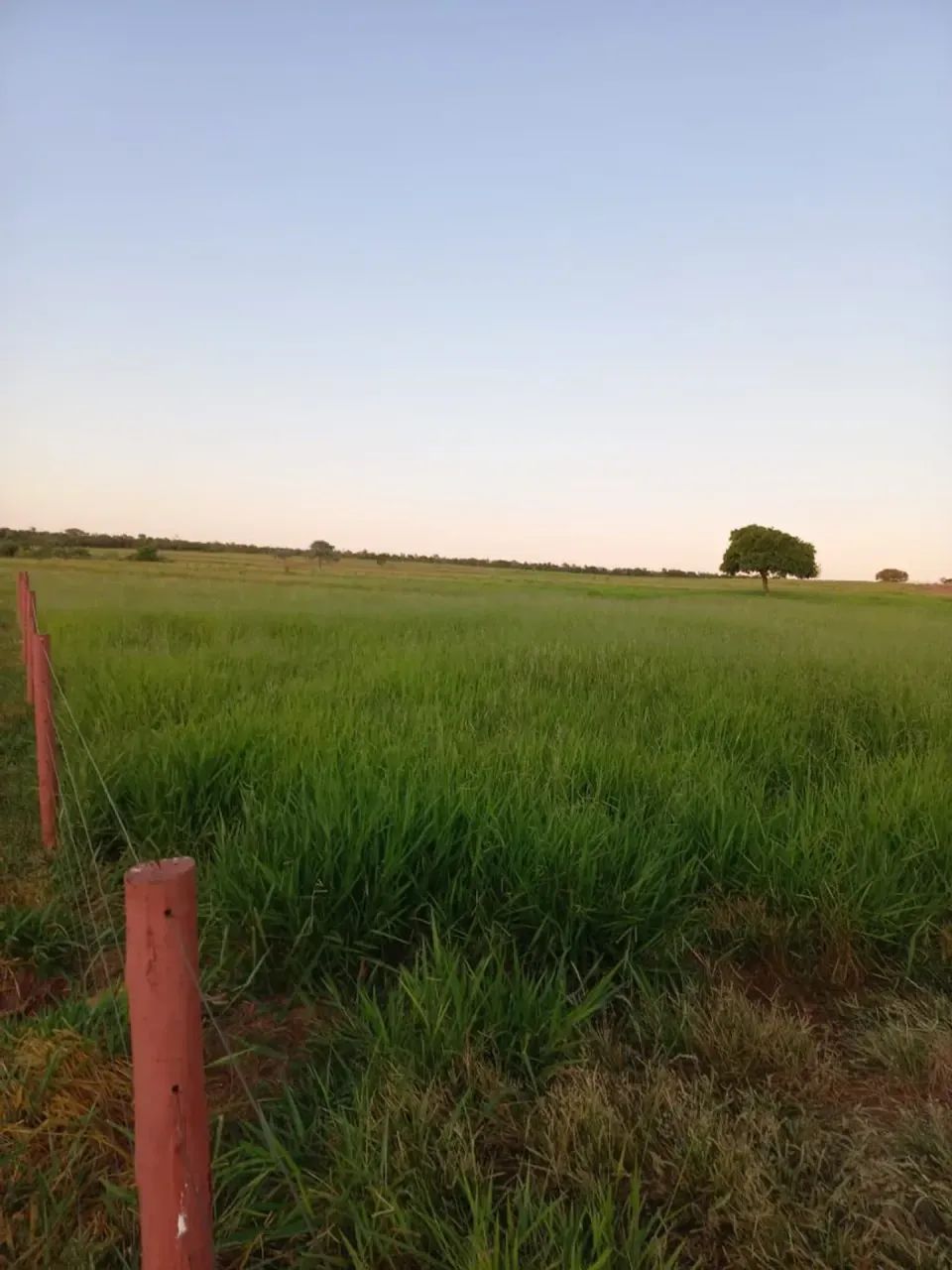 Imóvel para venda tem 6000000 metros quadrados com 3 quartos em Aparecida - Pirapora - MG - Foto 11