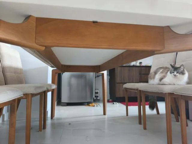 Mesa de jantar 6 a 8 lugares - Foto 4