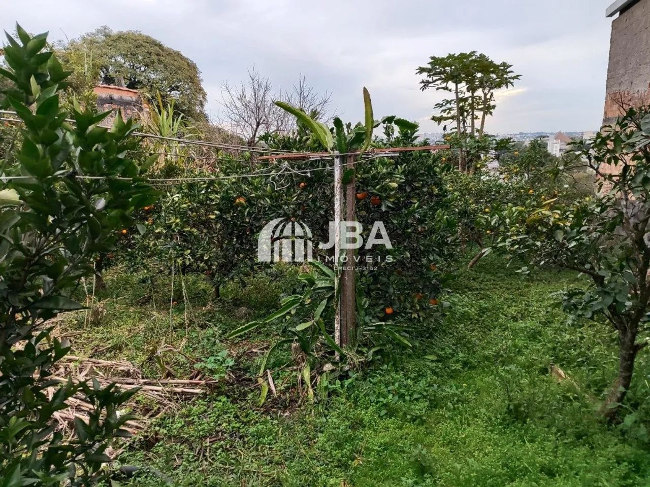 Ótimo terreno para construir 5 unidades - Foto 5