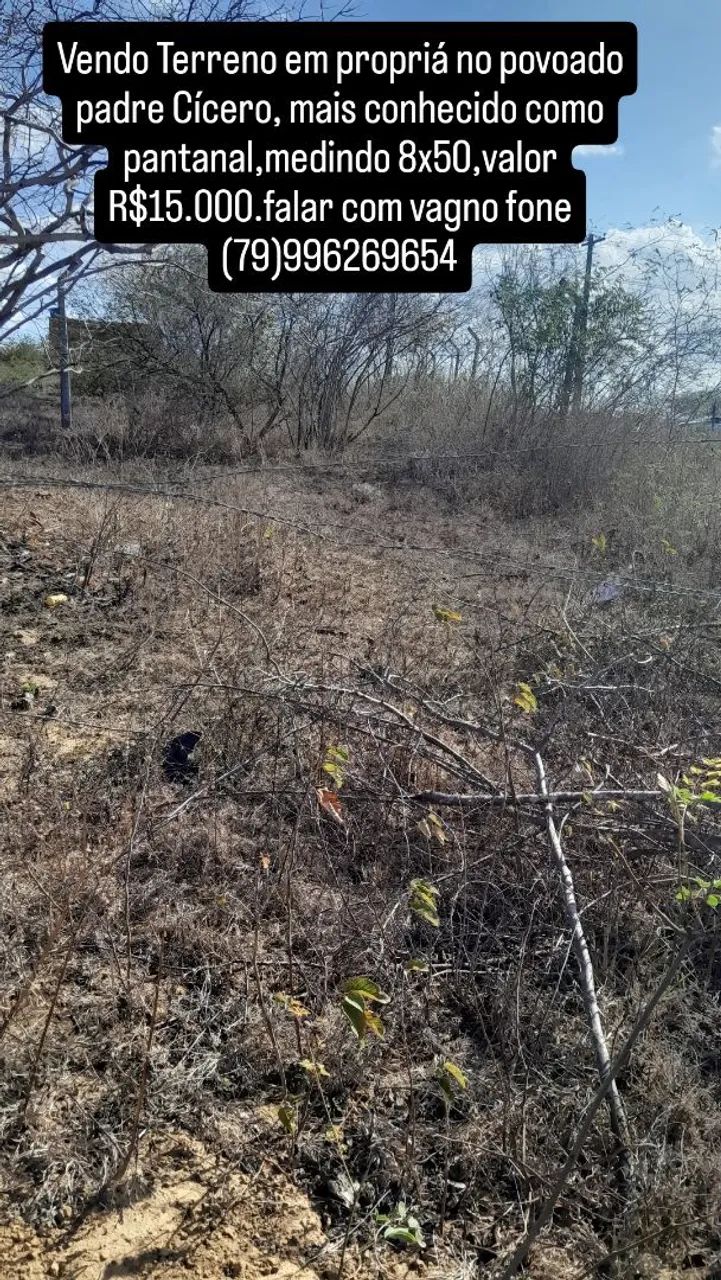 Ótima oportunidade.  - Foto 2