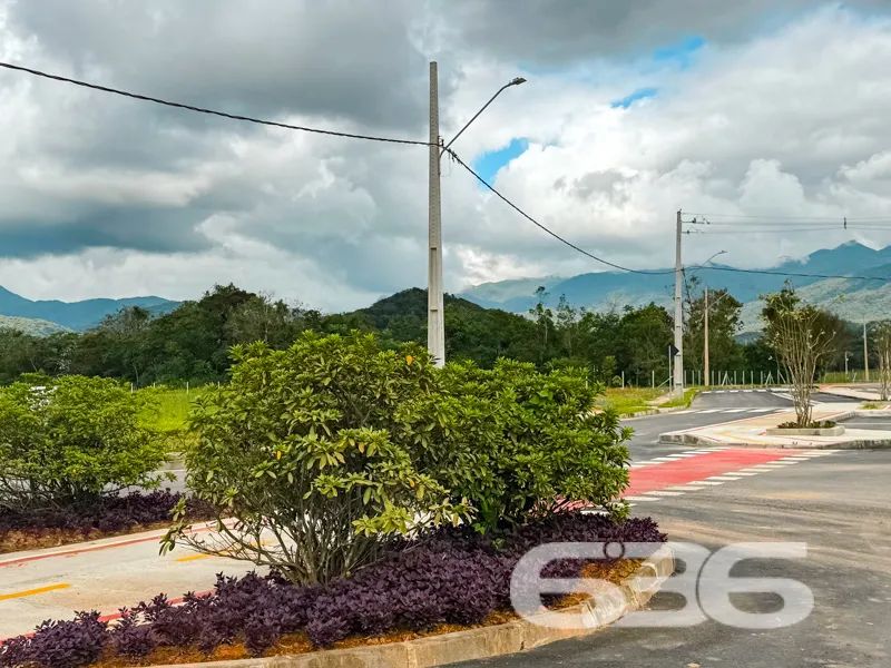 Terreno | Joinville | Rio Bonito - Foto 5