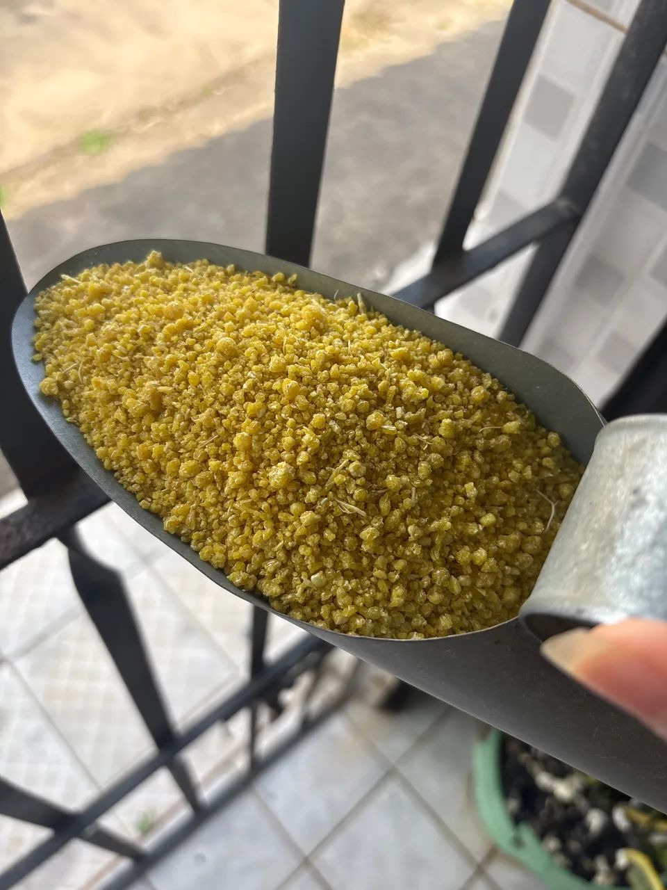FARINHA - Foto 2