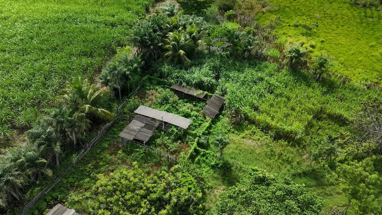 granja com 12.5 hectares plantada e com rio perene e com poço tubular na grande natal - Foto 2