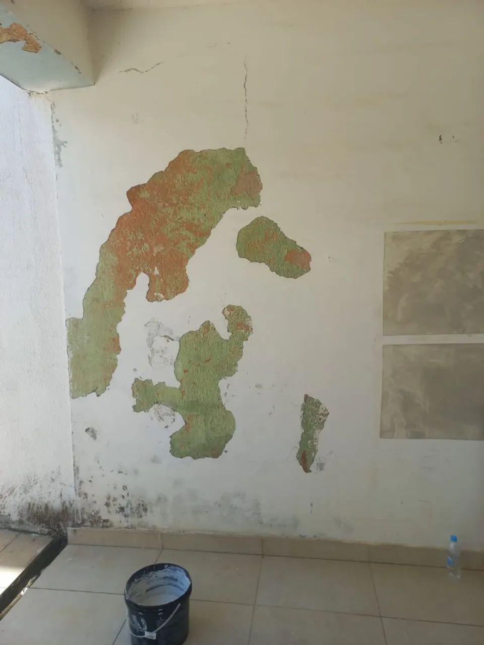 Pintor mister - Foto 2