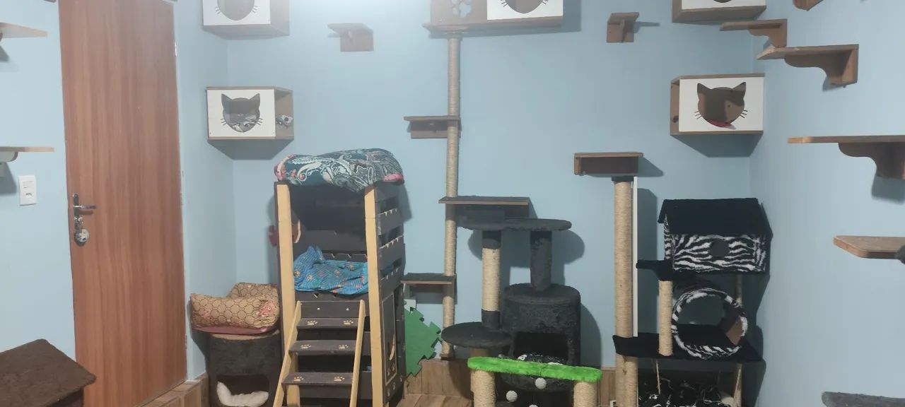 Hospedagem felina - Foto 2