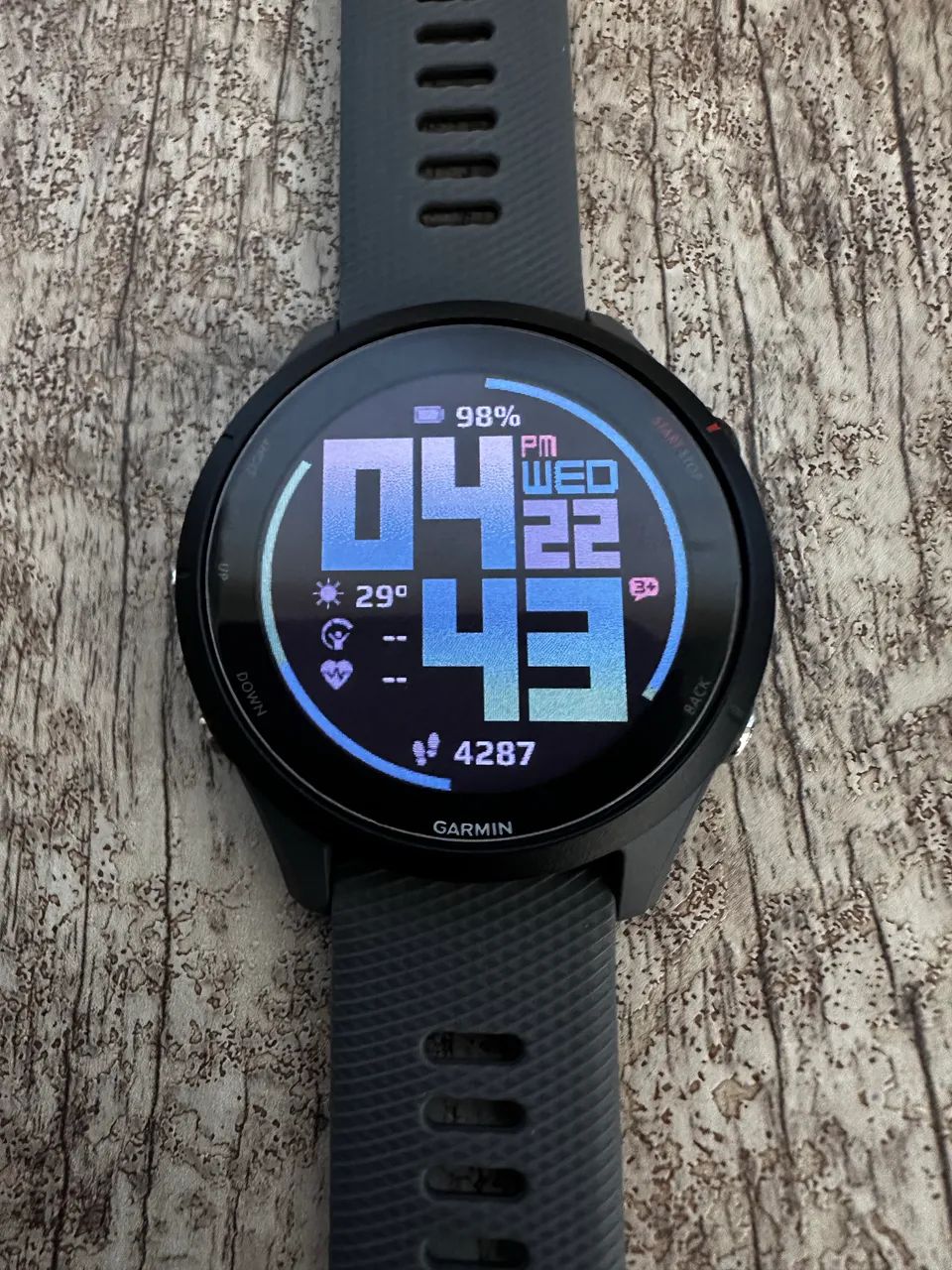 Garmin Forerunner 255 - Cinza (Slate Gray) Impecável
