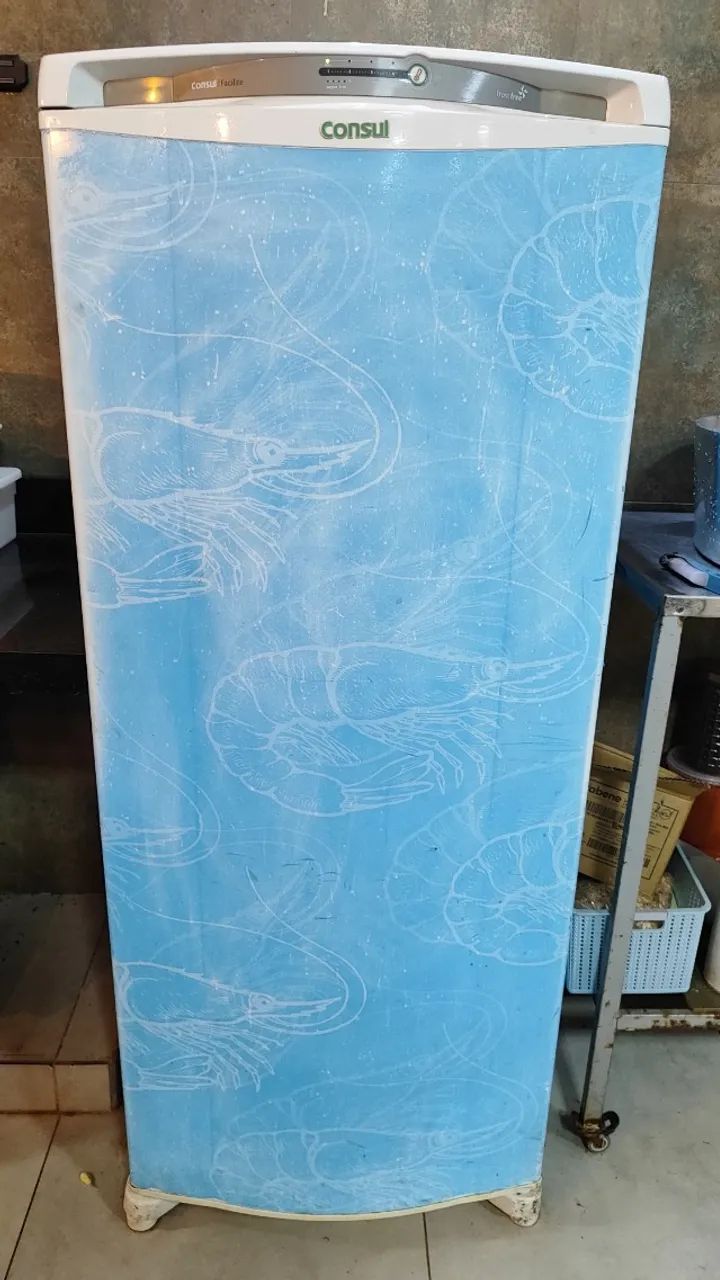 Geladeira Consul 300L (Usada e Funcionando)