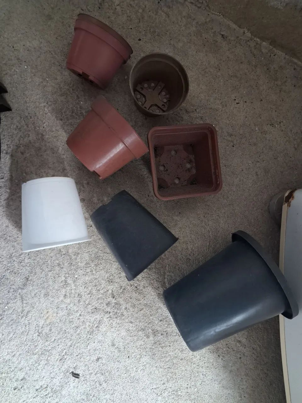 Vasos de plantas  - Foto 3
