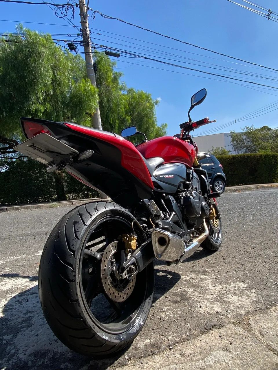 Hornet vermelha  - Foto 2