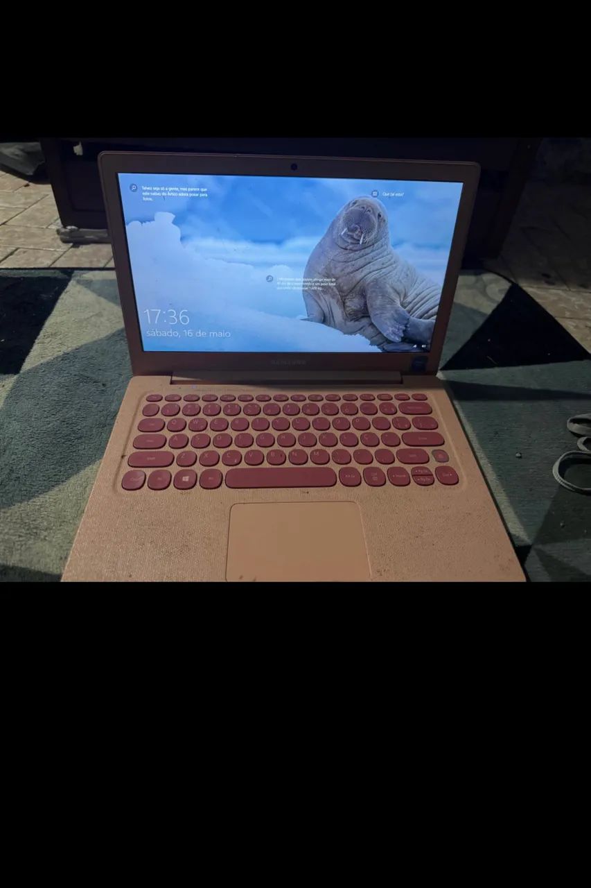 Notebook Samsung Flash F30 Celeron 4gb 64gb Ssd Rosa