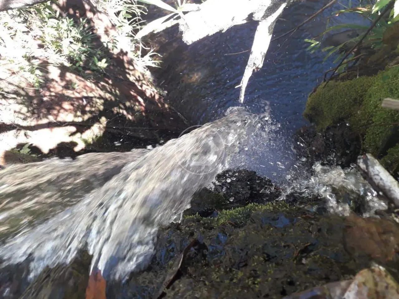 ÁREA PRÓXIMA A CACHOEIRA RICA - Foto 4