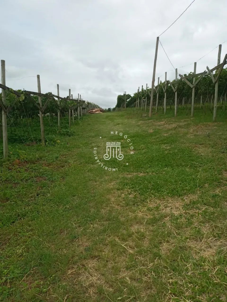 ÁREA COMERCIAL À VENDA - BAIRRO DO POSTE - JUNDIAI/SP - Foto 5