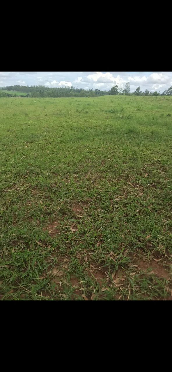 Chácara em Nova Esperança, 21.200mts Vendo,troco, parcelo  - Foto 4