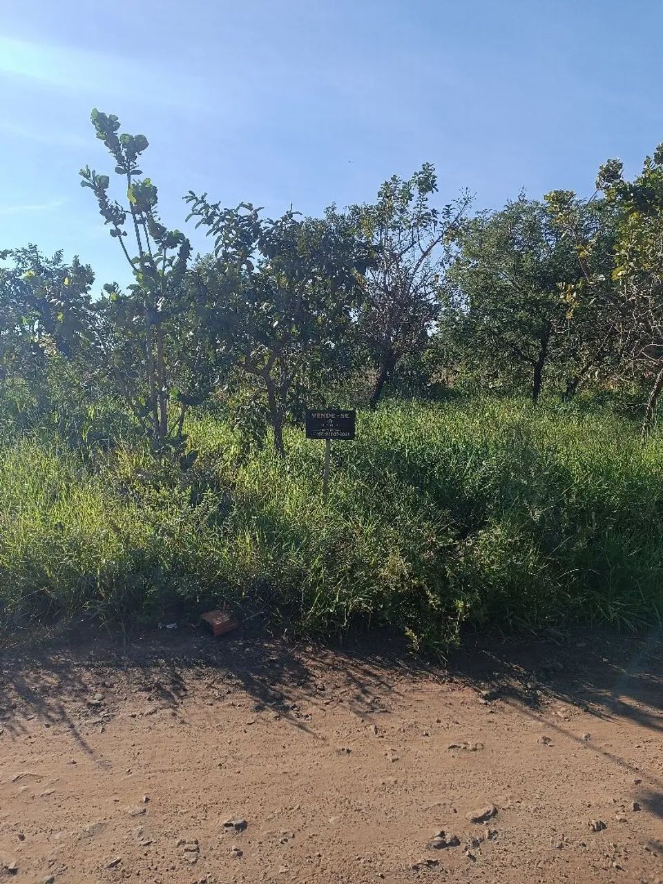 Terreno região vila Nasser  - Foto 5