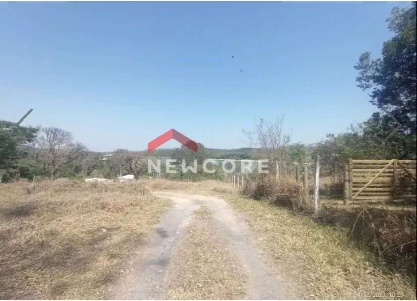 Chácara 20.000 m2 - Foto 4