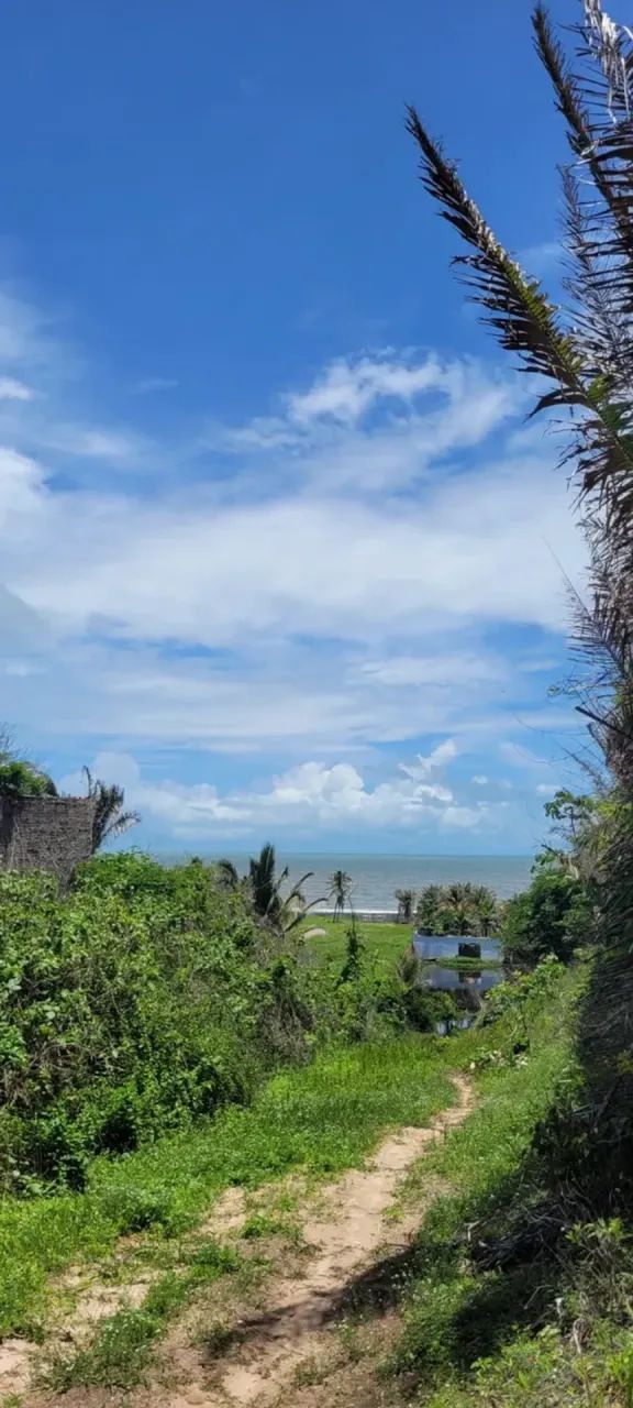 PRAIA DE PANAQUATIRA: Terreno à venda vista mar  Grande Ilha de São Luís. - Foto 5