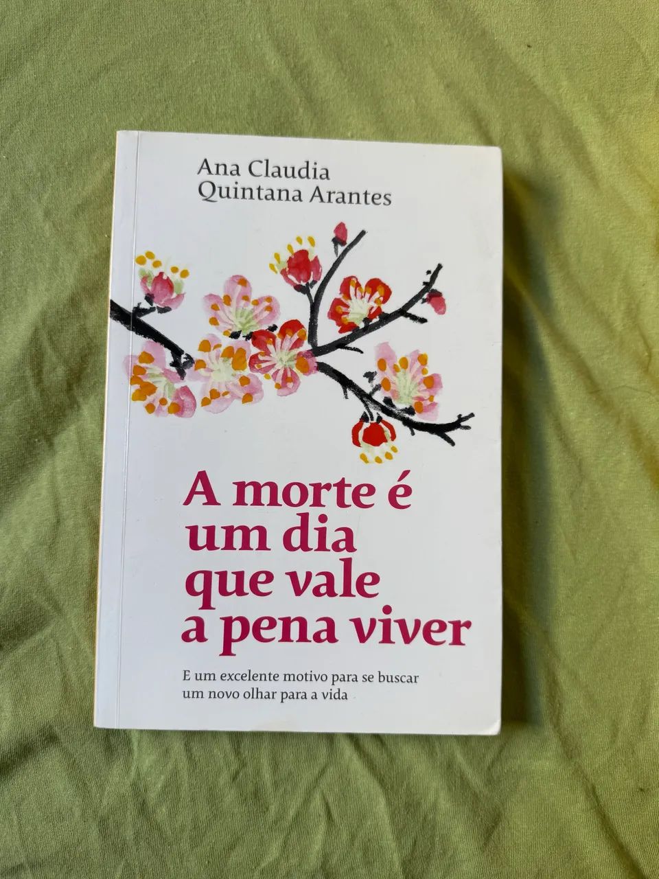 A morte é um dia que vale a pena viver