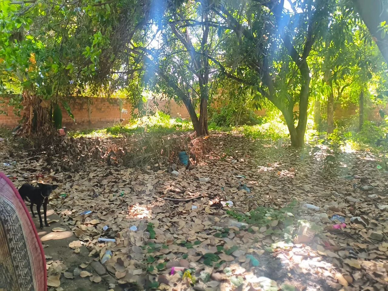 Terreno a venda  - Foto 3