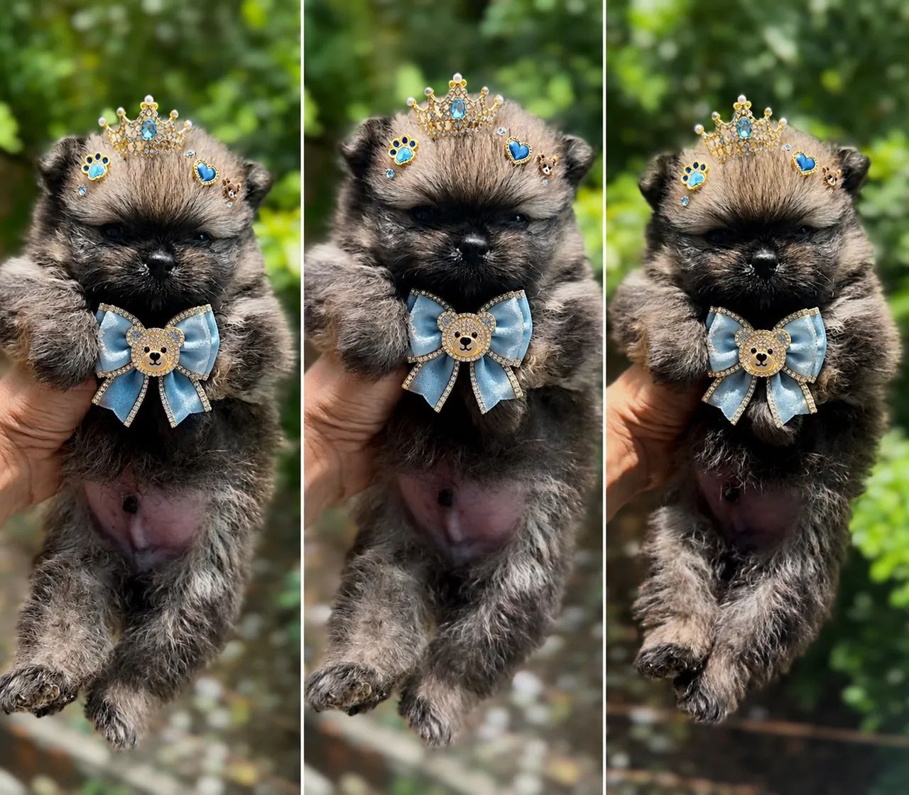 Bebê urso Lulu  - Foto 3