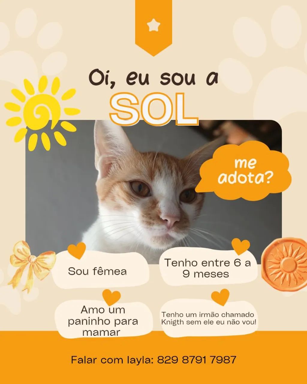 Adoção de irmãos Sol e Knigth 