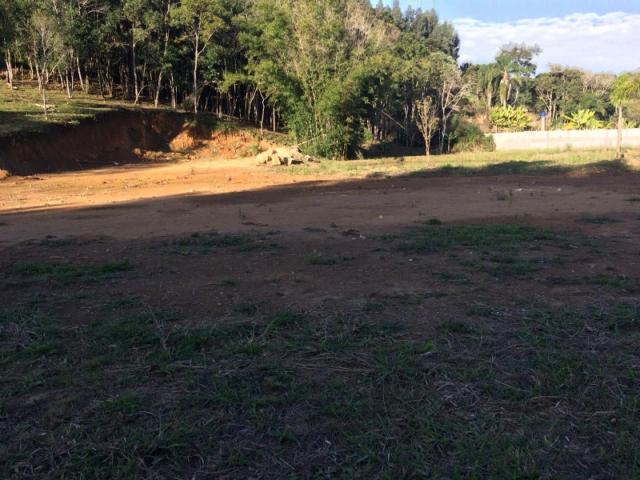 Chácara à venda em Cerne, Campina grande do sul cod:CH00004 - Foto 6