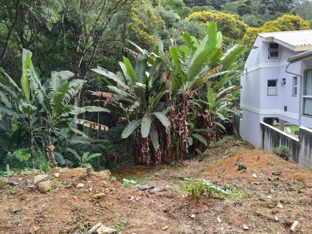 Lote 567m2 no Centro de Santa Isabel Domingos Martins - Foto 3