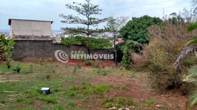 Terreno à venda em Cenáculo, Belo horizonte cod:646005 - Foto 3