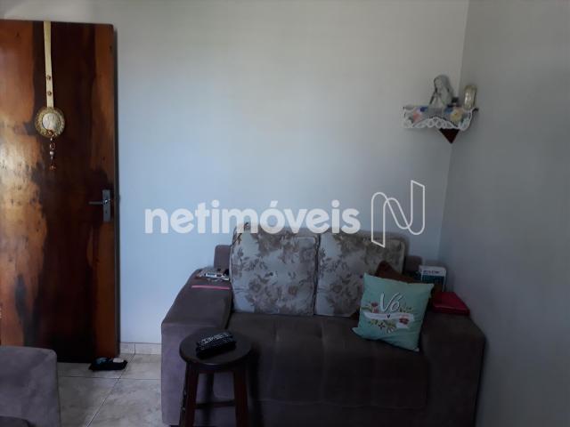 Casa à venda com 3 dormitórios em Alípio de melo, Belo horizonte cod:721345 - Foto 4