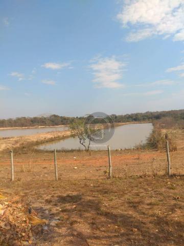 Chácara a 6 km do trevo do lagarto - Foto 11