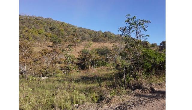 1450 Hectares, Oportunidade, Pecuária Santo Antônio do Leverger-MT - Foto 3