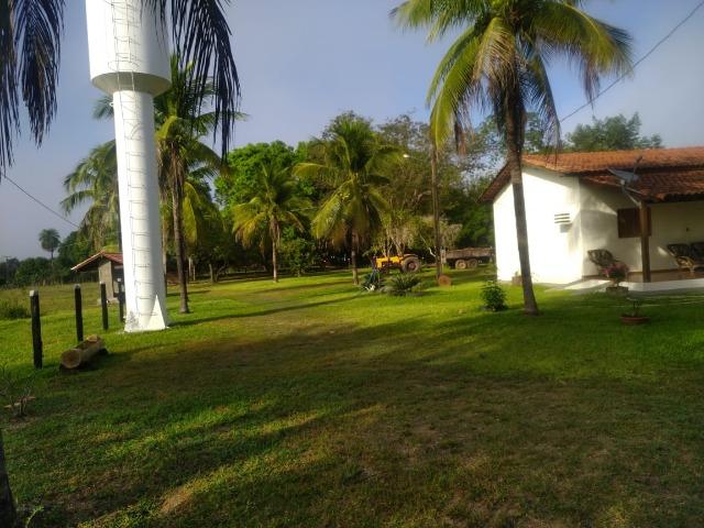 Chácara de Recreio e Pesqueiro Distr da Guia - Casa Sede e Casa de Caseiro - Foto 17