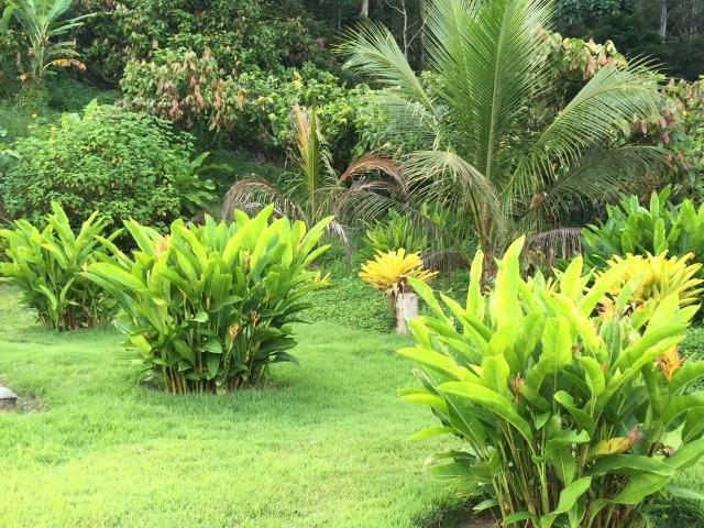 Fazenda - Sul da Bahia - Foto 16